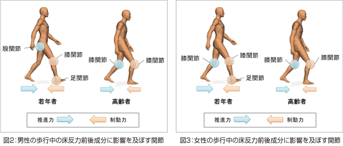 図2,図3