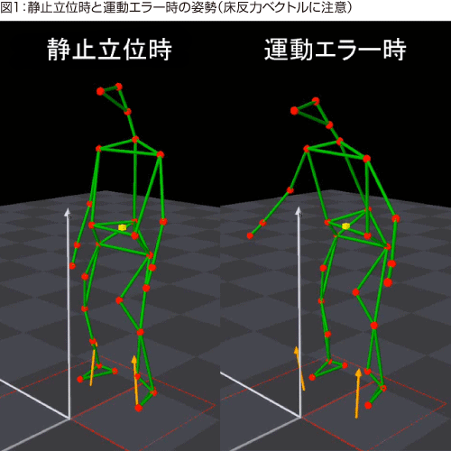 図1：静止立位時と運動エラー時の姿勢（床反力ベクトルに注意）