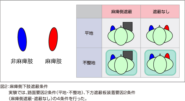 図2：麻痺側下肢遮蔽条件実験では、路面要因2条件（平地・不整地）、下方遮蔽板装着要因2条件（麻痺側遮蔽・遮蔽なし）の4条件を行った。