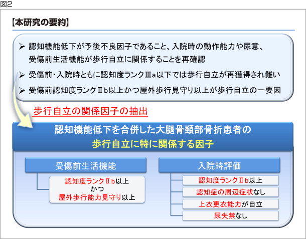 図2:【本研究の要約】