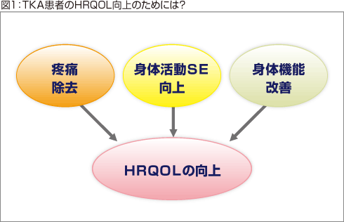 図1：TKA患者のHRQOL向上のためには?