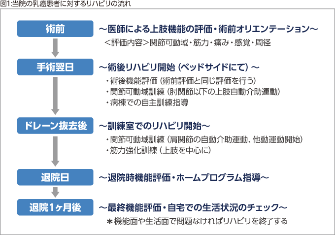 図1:当院の乳癌患者に対するリハビリの流れ