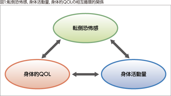 図1:転倒恐怖感，身体活動量，身体的QOLの相互循環的関係