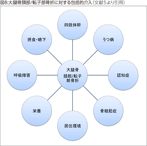 図8:大腿骨頚部/転子部骨折に対する包括的介入（文献5より引用）