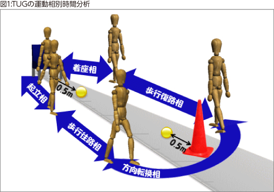 図1:TUGの運動相別時間分析