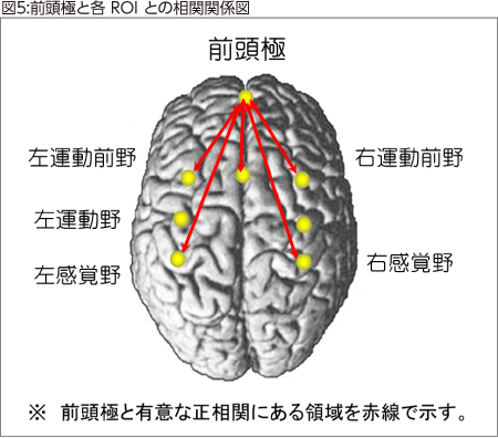 図5:前頭極と各 ROI との相関関係図